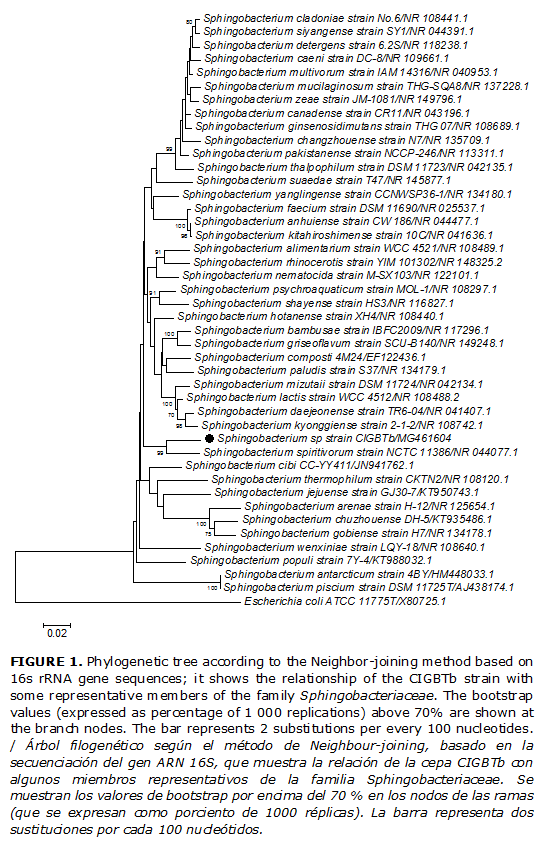 FIGURE 1. Phylogenetic tree according to the Neighbor-joining method based on 16s rRNA gene sequences; it shows the relationship of the CIGBTb strain with some representative members of the family Sphingobacteriaceae. The bootstrap values (expressed as percentage of 1 000 replications) above 70% are shown at the branch nodes. The bar represents 2 substitutions per every 100 nucleotides. / &Aacute;rbol filogen&eacute;tico seg&uacute;n el m&eacute;todo de Neighbour-joining, basado en la secuenciaci&oacute;n del gen ARN 16S, que muestra la relaci&oacute;n de la cepa CIGBTb con algunos miembros representativos de la familia Sphingobacteriaceae. Se muestran los valores de bootstrap por encima del 70 % en los nodos de las ramas (que se expresan como porciento de 1000 r&eacute;plicas). La barra representa dos sustituciones por cada 100 nucle&oacute;tidos.