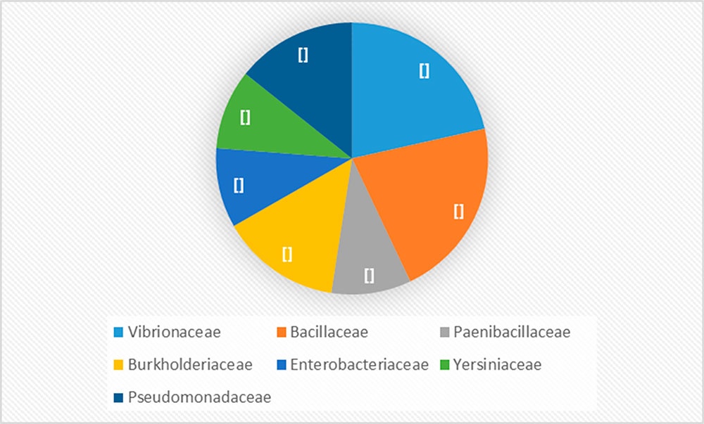 Familias bacterianas aisladas de muestras de ostión en Bahía de Cabañas. / Bacterial families isolated from oyster samples in Bahía de Cabañas.