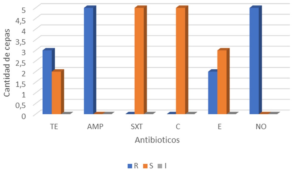 Perfil de susceptibilidad antimicrobiana de aislados de Vibrio parahaemolyticus frente a los antibióticos TE (Tetraciclina), AMP (Ampicillina), SXT (sulfometaxazol- trimetropin), C (Cloranfenicol), E (Eritromicina), y NO (Novobiocina), durante el primer semestre de 2021 (enero-junio). / Antimicrobial susceptibility profile of Vibrio parahaemolyticus isolates against the antibiotics TE (Tetracycline), AMP (Ampicillin), SXT (Sulfamethoxazole-Trimethoprim), C (Chloramphenicol), E (Erythromycin), and NO (Novobiocin), during the first half of 2021 (January-June).